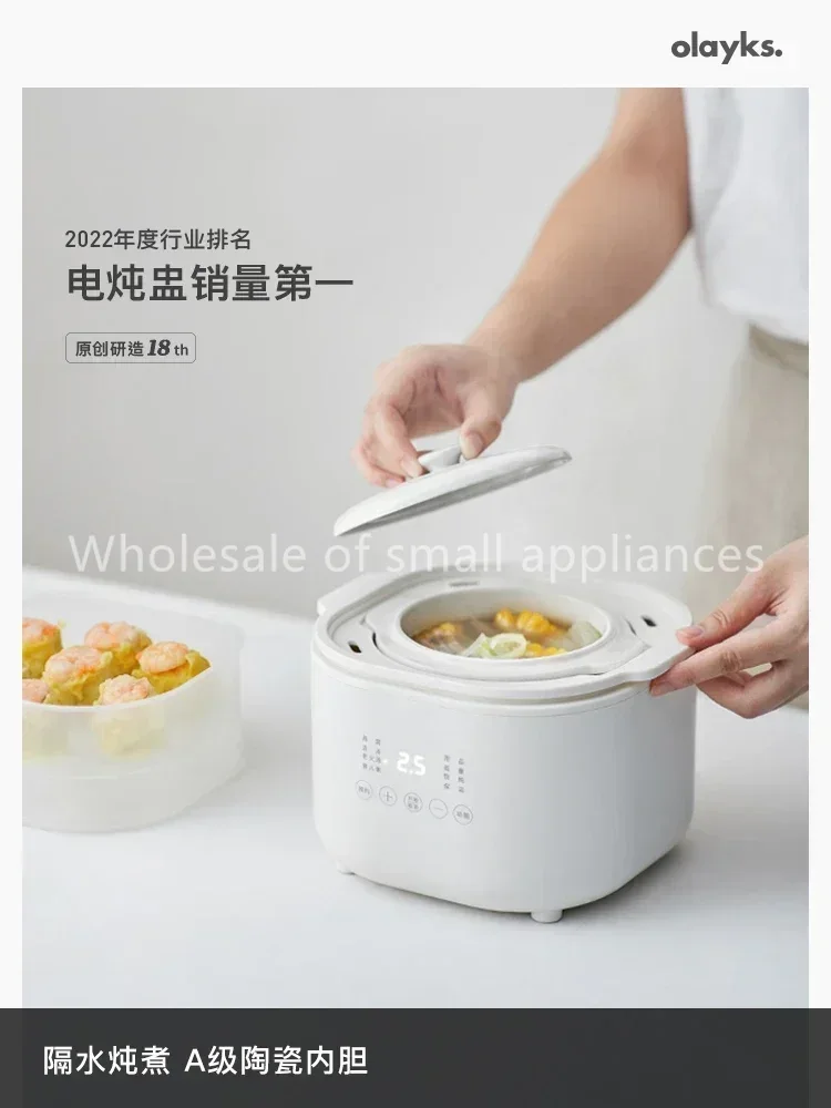 220V Small Electric Cooker, Ba - Baby Food Stew ulasan dan harga