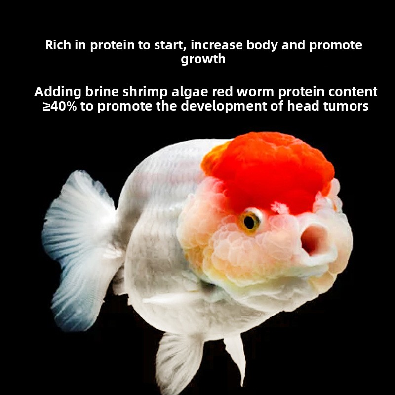 Fish Baby Sinking Goldfish Foo - Baby Food With Protein ulasan dan harga