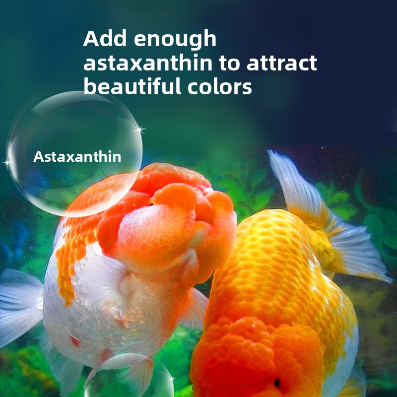 Fish Baby Sinking Goldfish Foo - Baby Food With Protein ulasan dan harga
