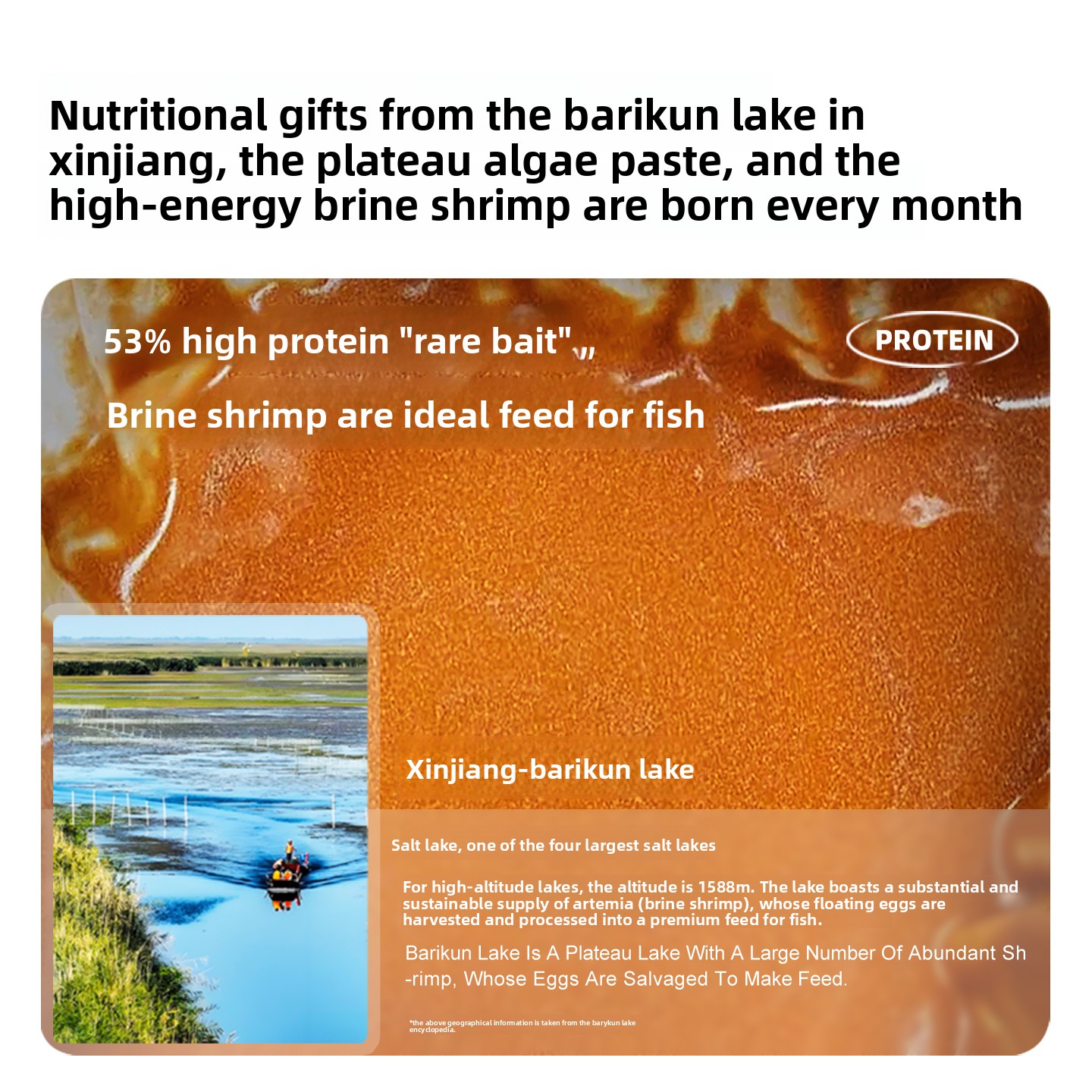 SANKii Decapsulated Brine Shri - Baby Food With Protein ulasan dan harga