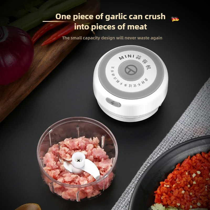 Electric Mini Garlic Chopper 1 - Baby Food For 1 Year Old ulasan dan harga