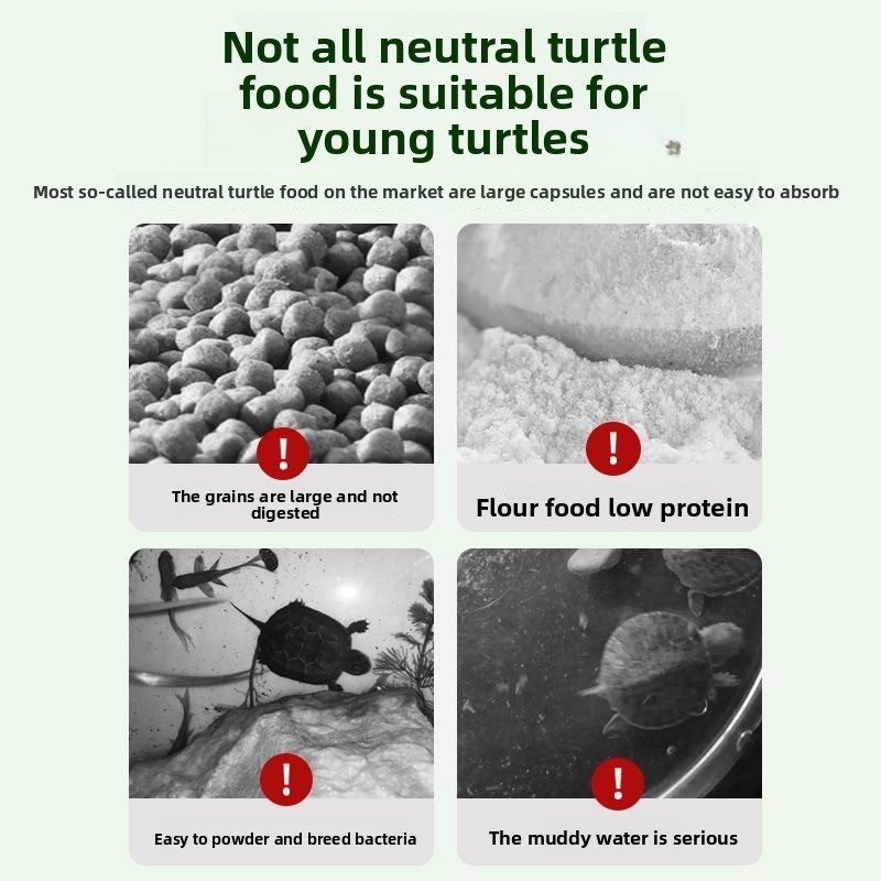 Nai chong Hatchling Turtle Foo - Baby Food With Protein ulasan dan harga