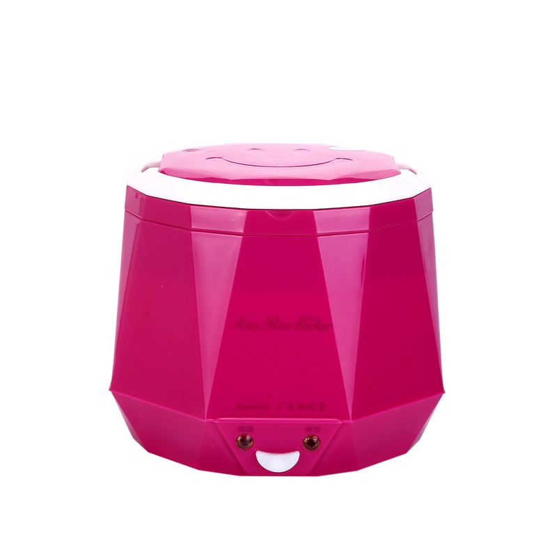 DC12V/DC24V/AC220V 100W POWER  - Baby Food Stew ulasan dan harga