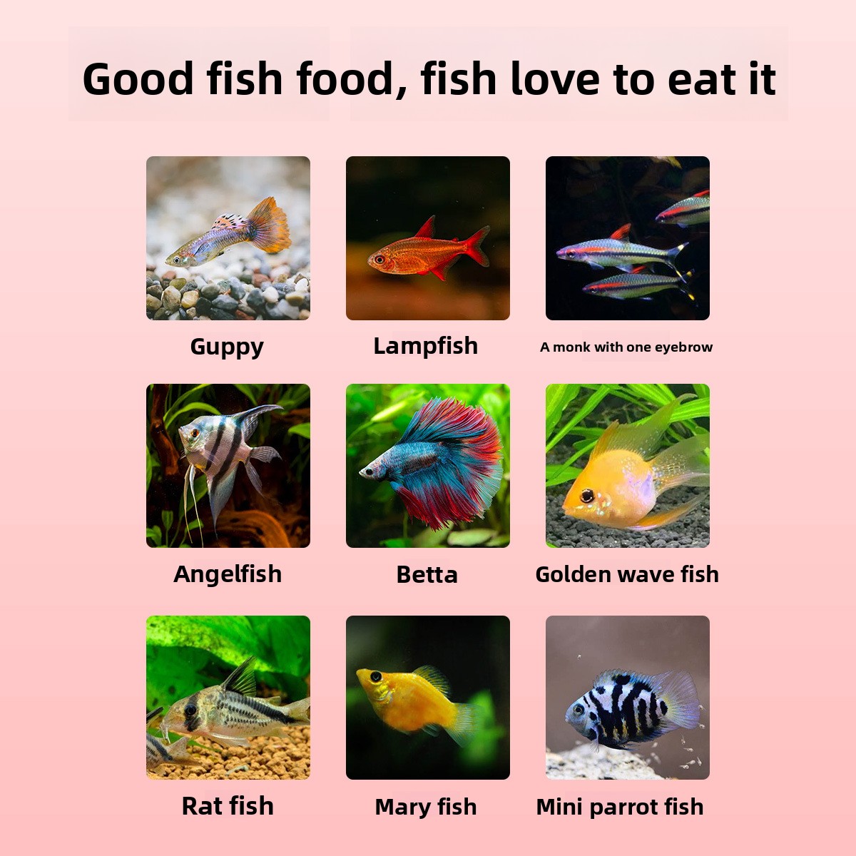 DINGZU Tropical Nano Fish Food - Baby Food With Protein ulasan dan harga
