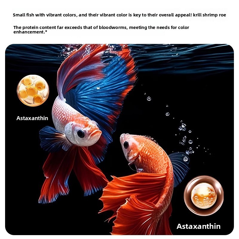 Yee Krill & Baby Shrimp Dry Fo - Baby Food With Protein ulasan dan harga